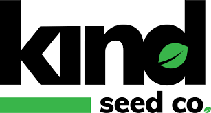 Exploring the Benefits of DC Seed Bank for Cannabis Cultivators